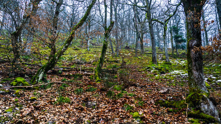 Similar image 10458888