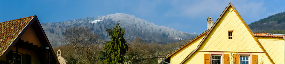 Similar image 10458898