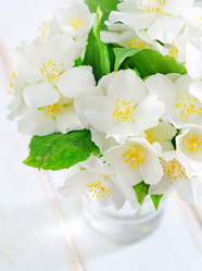 Similar image 10458997