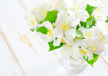 Similar image 10458998