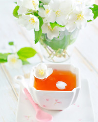 Similar image 10458999