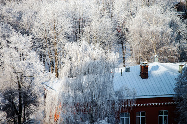 Similar image 10459003