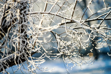 Similar image 10459016