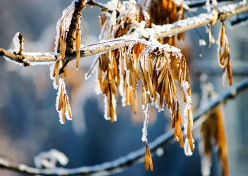 Similar image 10459017