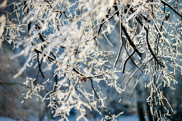 Similar image 10459020