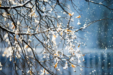 Similar image 10459041