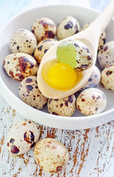 Similar image 10459231