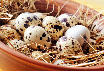 Similar image 10459308