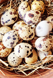 Similar image 10459309