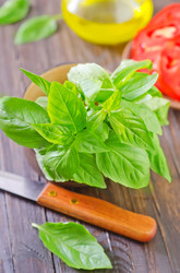 Similar image 10459549