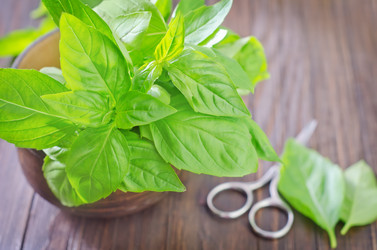 Similar image 10459571