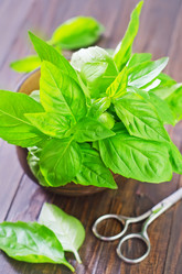 Similar image 10459572