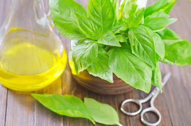 Similar image 10459576