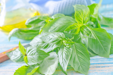 Similar image 10459602