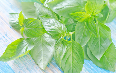 Similar image 10459604