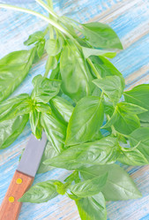 Similar image 10459606