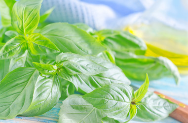 Similar image 10459607