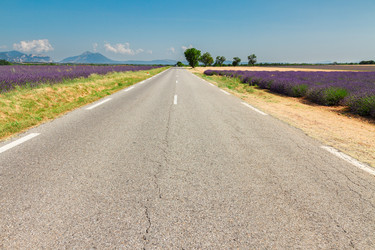 Similar image 10459637