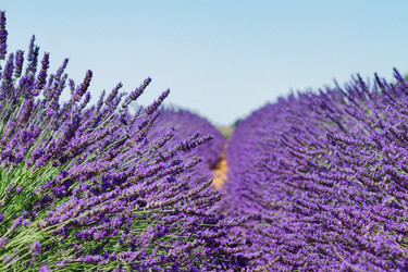 Similar image 10459638