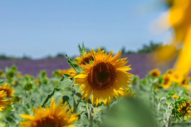 Similar image 10459639