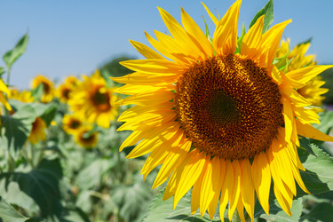 Similar image 10459640