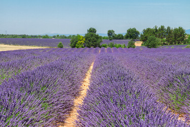 Similar image 10459641