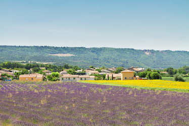 Similar image 10459642