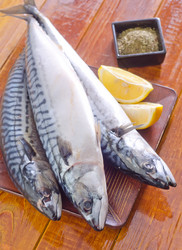 Similar image 10459681