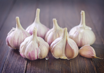 Similar image 10459784