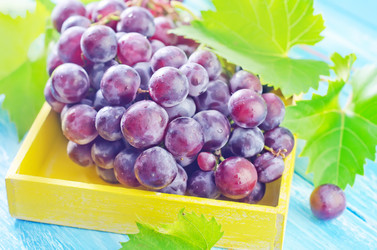 Similar image 10460046