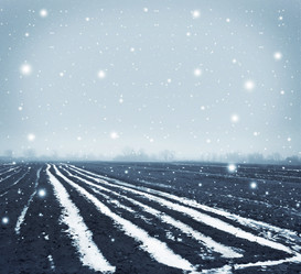 Similar image 10460138