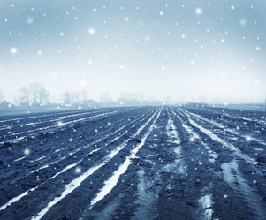 Similar image 10460142