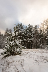 Similar image 10460218