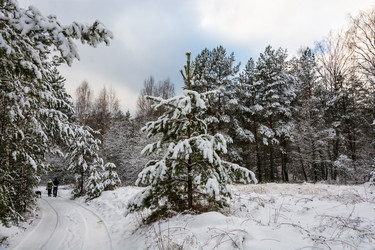 Similar image 10460219