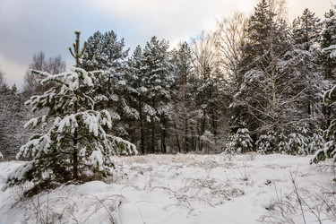 Similar image 10460220