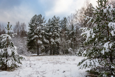 Similar image 10460221