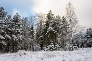 Similar image 10460222