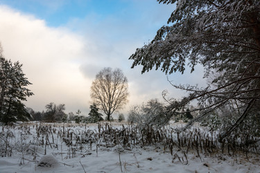 Similar image 10460224