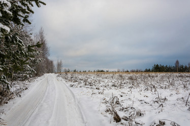 Similar image 10460225