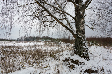 Similar image 10460230