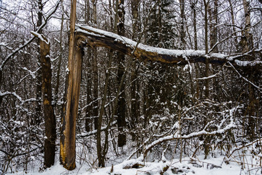 Similar image 10460233