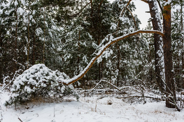 Similar image 10460235