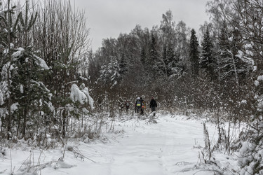 Similar image 10460238