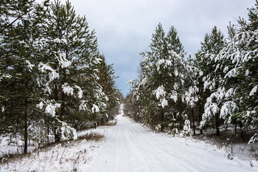 Similar image 10460253