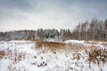 Similar image 10460254