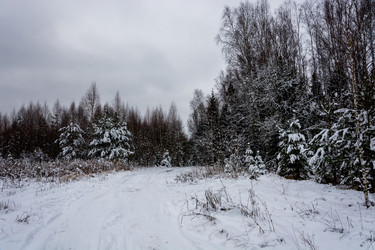 Similar image 10460255