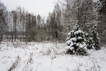 Similar image 10460256