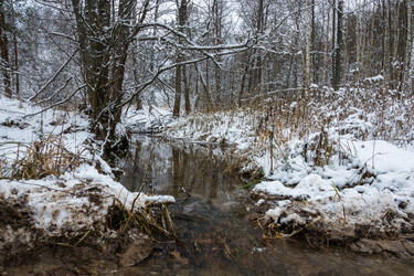 Similar image 10460328