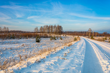 Similar image 10460330