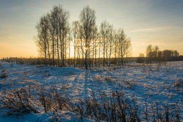 Similar image 10460342